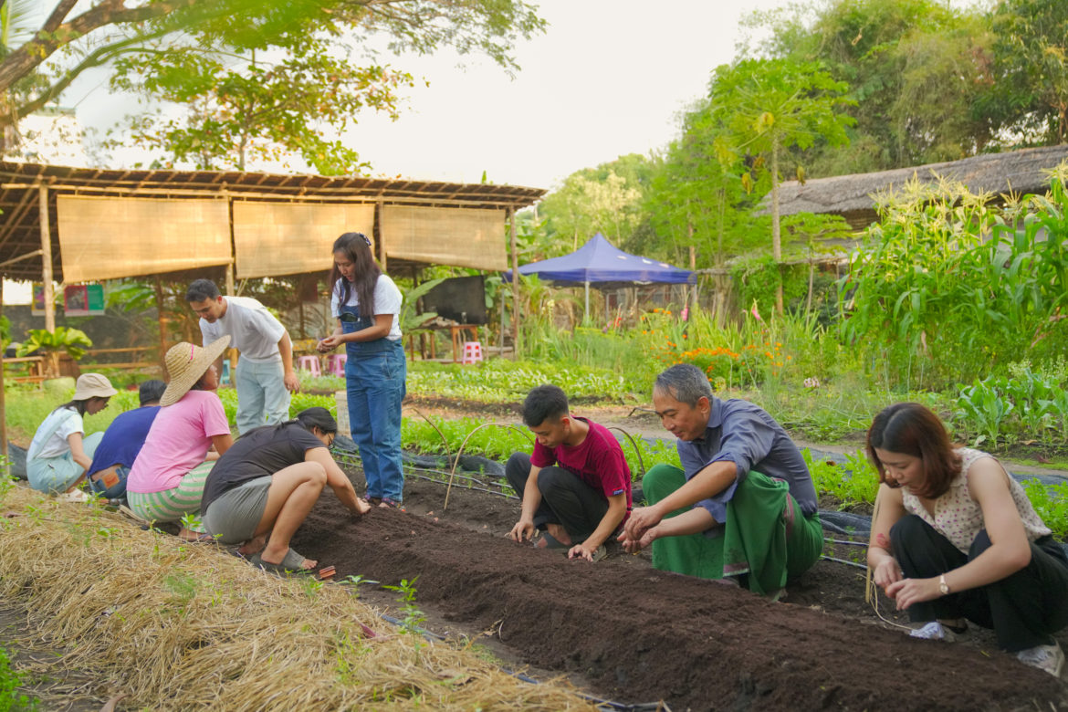 Gardening Emotional Workshop နှင့်အတူ သဘာဝအား ခံစားမိခြင်း။